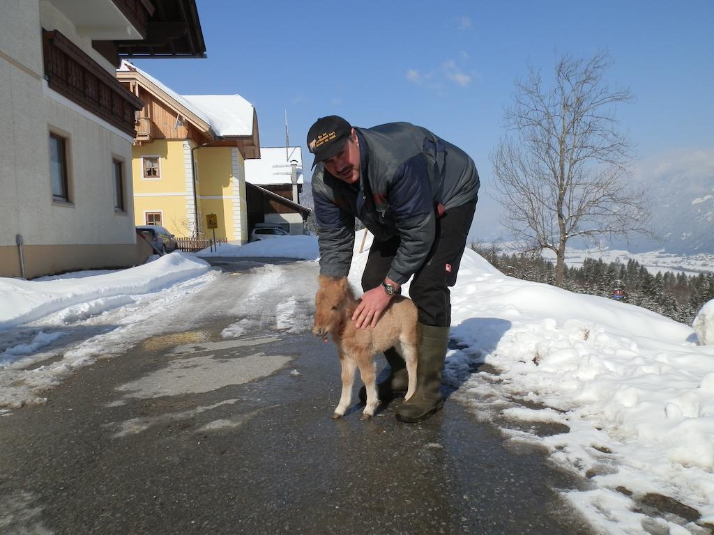 Kollerhof Διαμέρισμα Schlanitzen Εξωτερικό φωτογραφία